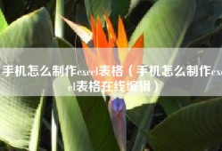 手机怎么制作excel表格（手机怎么制作excel表格在线编辑）