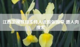 江西卫视节目主持人诋毁张国荣 遭人肉搜索