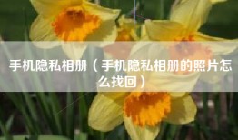手机隐私相册（手机隐私相册的照片怎么找回）