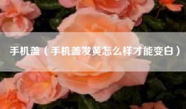 手机盖（手机盖发黄怎么样才能变白）