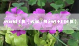 破解刷手机（破解手机密码不用刷机）
