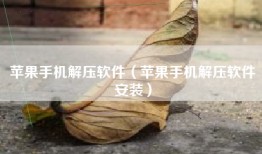 苹果手机解压软件（苹果手机解压软件安装）