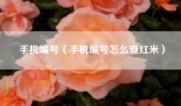 手机编号（手机编号怎么查红米）