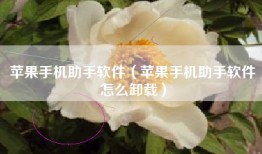 苹果手机助手软件（苹果手机助手软件怎么卸载）