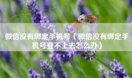 微信没有绑定手机号（微信没有绑定手机号登不上去怎么办）