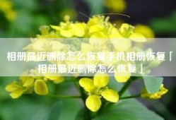 相册最近删除怎么恢复手机相册恢复「相册最近删除怎么恢复」