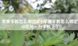 苹果手机怎么绑定id（苹果手机怎么绑定ID在另一台手机上）