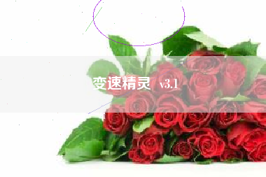 变速精灵  v3.1