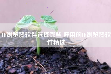 IE浏览器软件选择哪些 好用的IE浏览器软件精选