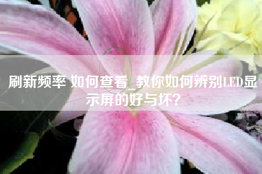 刷新频率 如何查看_教你如何辨别LED显示屏的好与坏？