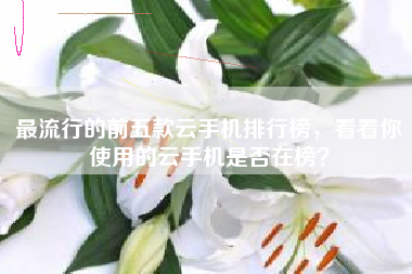 最流行的前五款云手机排行榜，看看你使用的云手机是否在榜？