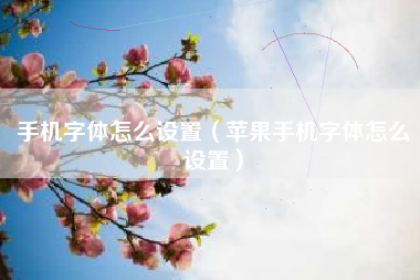 手机字体怎么设置（苹果手机字体怎么设置）