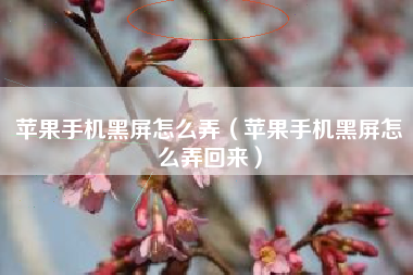 苹果手机黑屏怎么弄（苹果手机黑屏怎么弄回来）
