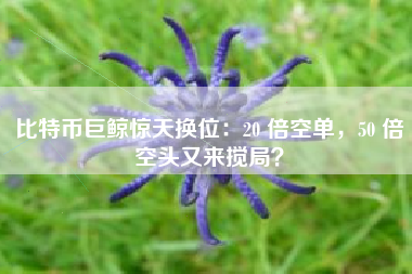 比特币巨鲸惊天换位：20 倍空单，50 倍空头又来搅局？