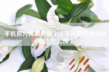 手机照片传到电脑上（手机照片传到电脑上怎么传）
