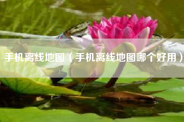 手机离线地图（手机离线地图哪个好用）