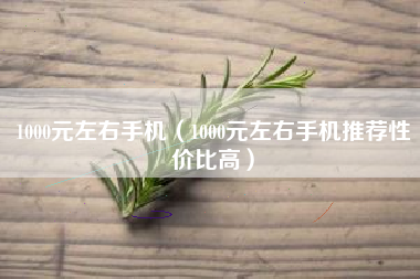 1000元左右手机（1000元左右手机推荐性价比高）