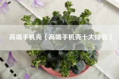 高端手机壳（高端手机壳十大排名）