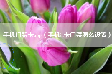 手机门禁卡app（手机ic卡门禁怎么设置）