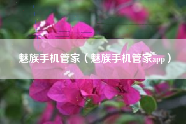 魅族手机管家（魅族手机管家app）