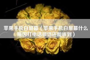 苹果手机白屏幕（苹果手机白屏幕什么原因打电话微信还能听到）