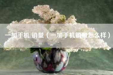 一加手机 销量（一加手机销量怎么样）