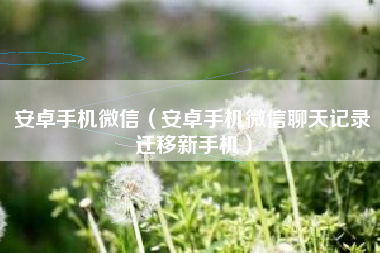 安卓手机微信（安卓手机微信聊天记录迁移新手机）