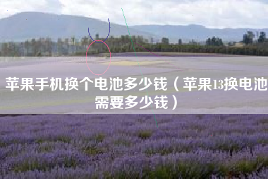 苹果手机换个电池多少钱（苹果13换电池需要多少钱）