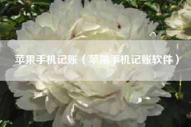 苹果手机记账（苹果手机记账软件）