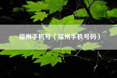 福州手机号（福州手机号码）