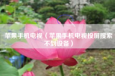 苹果手机电视（苹果手机电视投屏搜索不到设备）