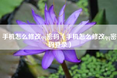 手机怎么修改qq密码（手机怎么修改qq密码登录）