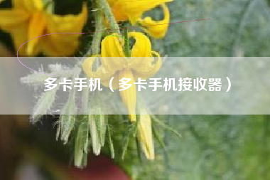 多卡手机（多卡手机接收器）