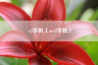 e2手机（ace2手机）