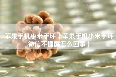 苹果手机小米手环（苹果手机小米手环微信不提醒怎么回事）