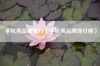 手机壳品牌排行（手机壳品牌排行榜）