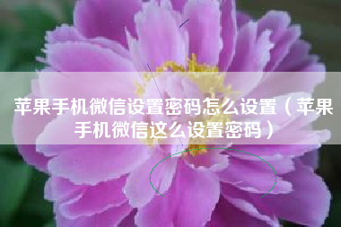 苹果手机微信设置密码怎么设置（苹果手机微信这么设置密码）