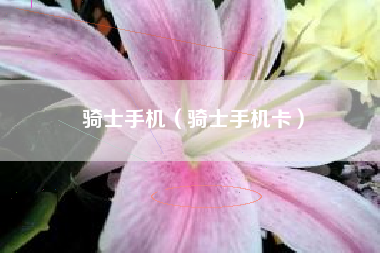 骑士手机（骑士手机卡）