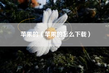 苹果的（苹果的怎么下载）