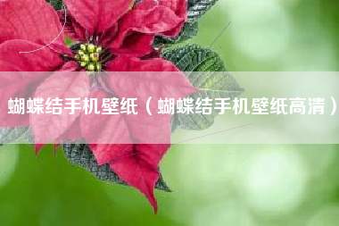 蝴蝶结手机壁纸（蝴蝶结手机壁纸高清）