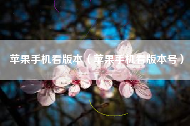 苹果手机看版本（苹果手机看版本号）