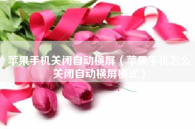 苹果手机关闭自动横屏（苹果手机怎么关闭自动横屏模式）