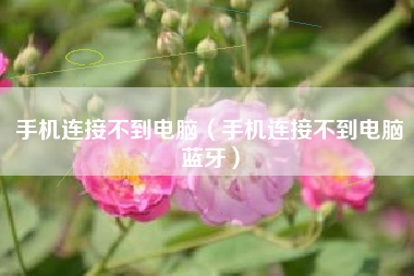 手机连接不到电脑（手机连接不到电脑蓝牙）