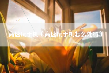 高速玩手机（高速玩手机怎么处罚）