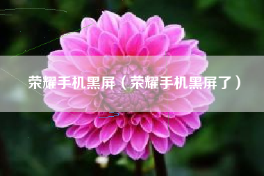 荣耀手机黑屏（荣耀手机黑屏了）