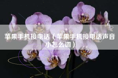 苹果手机接电话（苹果手机接电话声音小怎么调）