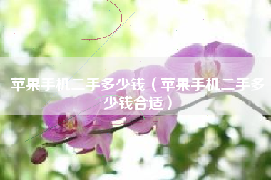 苹果手机二手多少钱（苹果手机二手多少钱合适）