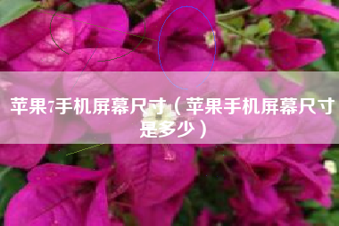 苹果7手机屏幕尺寸（苹果手机屏幕尺寸是多少）