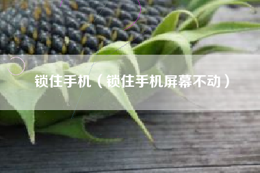锁住手机（锁住手机屏幕不动）