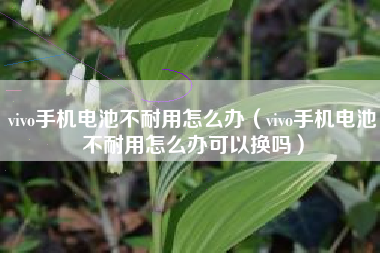 vivo手机电池不耐用怎么办（vivo手机电池不耐用怎么办可以换吗）
